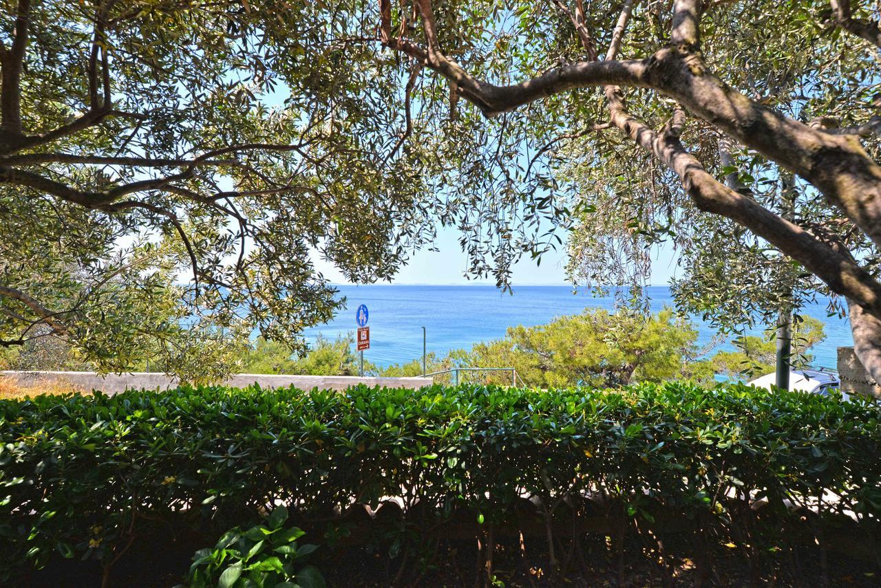 Sea Side Apartment Murter Exteriör bild